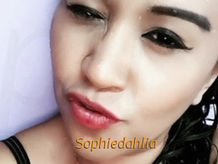 Sophiedahlia
