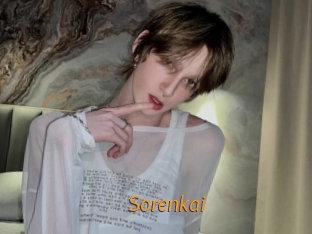 sorenkai Porn University