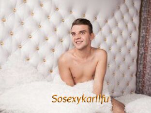Sosexykarllfu