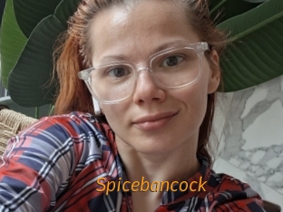 Spicebancock