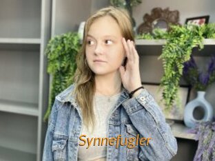 Synnefugler