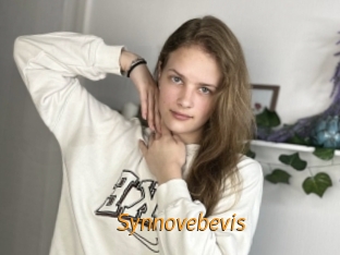 Synnovebevis