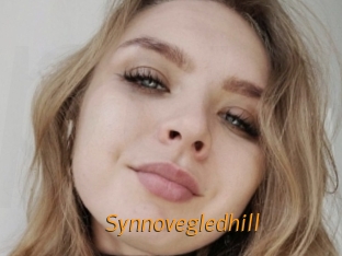 Synnovegledhill