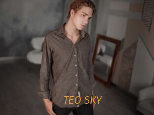 TEO_SKY