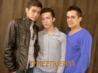 THREETIGERSS Porn University