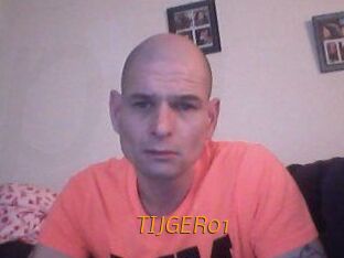 TIJGER01