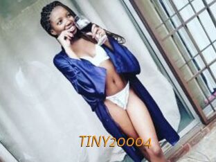 TINY20004