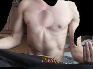 TSwag