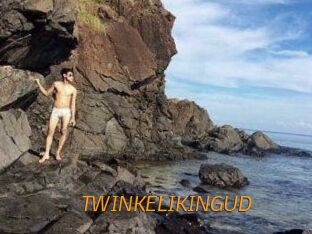 TWINKELIKINGUD