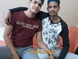 Tegusta29xx