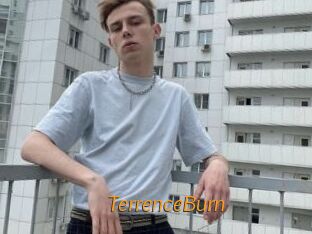 TerrenceBurn Porn University