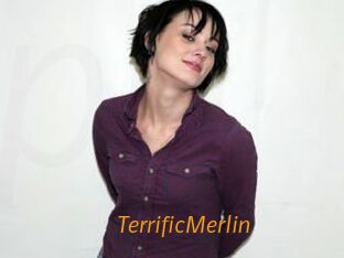 TerrificMerlin