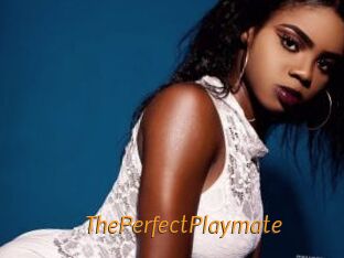 ThePerfectPlaymate Porn University