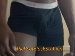 TheRealBlackStallion1