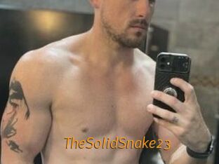 TheSolidSnake23 Porn University