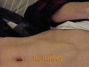 TheTurtle69
