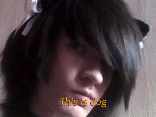 This_is_dog