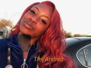 TinyAndrea