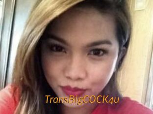 TransBigCOCK4u