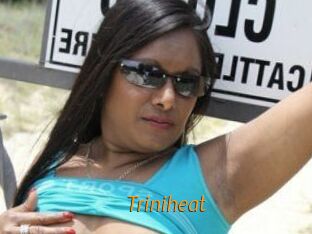 Triniheat