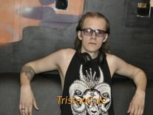 TristanCute Porn University