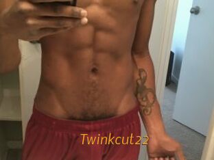 Twinkcut22