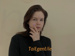 Taitgentile