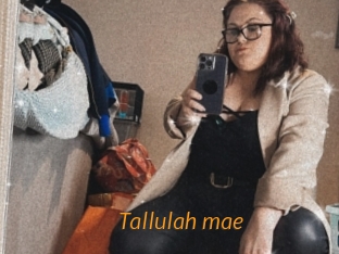 Tallulah_mae