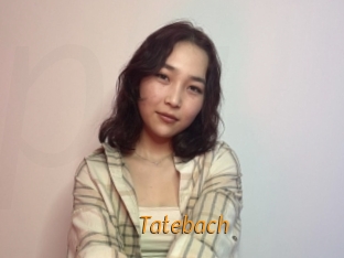 Tatebach