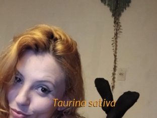 Taurina_sativa