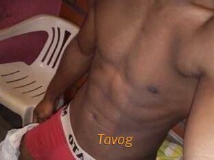 Tavog