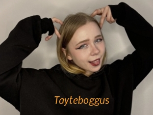 Tayteboggus