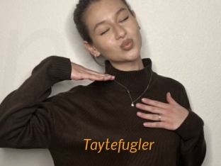 taytefugler Porn University