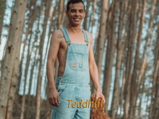 Teddhill