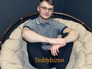 Teddybizon
