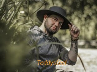 Teddysteel