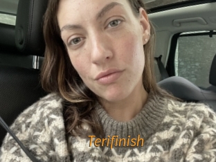 Terifinish