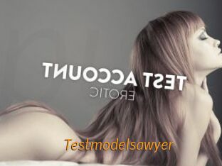 Testmodelsawyer
