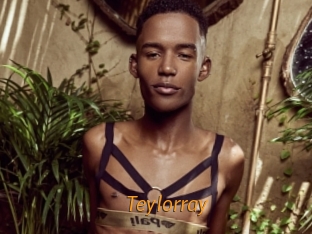teylorray Porn University