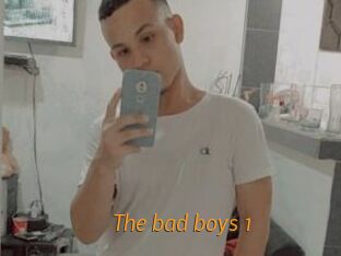 The_bad_boys_1