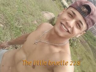 The_little_bruette_228