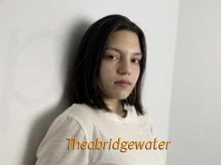 Theabridgewater