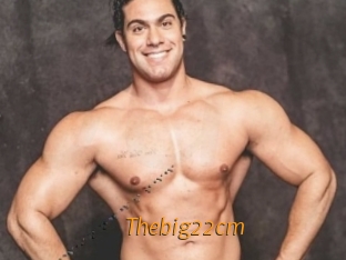 Thebig22cm