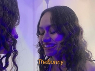 thebunny Porn University