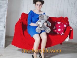 Thecherryblossom