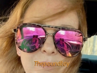 Thepoundtoy
