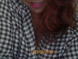 Tigerpussy
