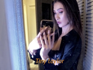 Tiny_taylor