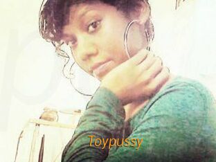 Toypussy