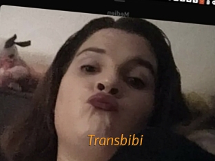 Transbibi